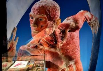 Nasi uczniowie na naukowej wystawie Body Worlds & The Cycle of Life