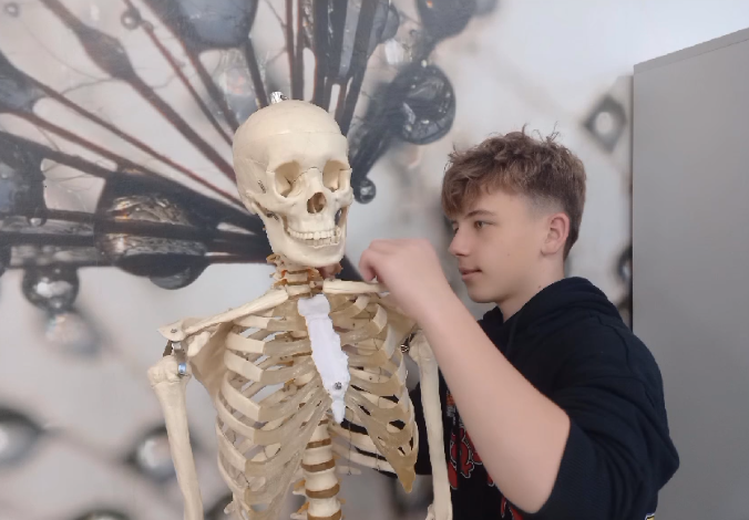 Co to za kości? – SKRZYNKA ODKRYĆ