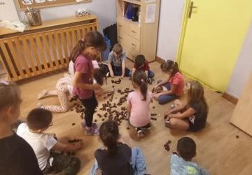 Kasztany opanowały całą salę!