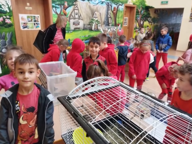 Odwiedziny po sąsiedzku w Mini Zoo