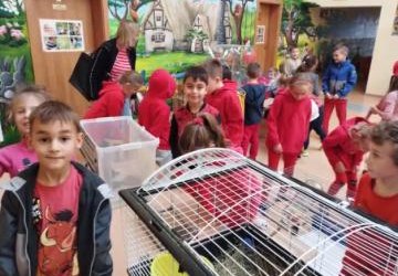 Odwiedziny po sąsiedzku w Mini Zoo