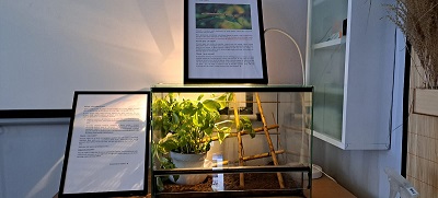 Klasowe zwierzątko 5c