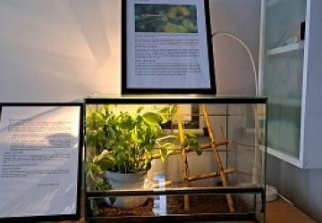 Klasowe zwierzątko 5c